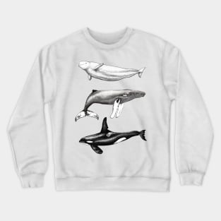 Beluga, orca and humpback whale ink Crewneck Sweatshirt